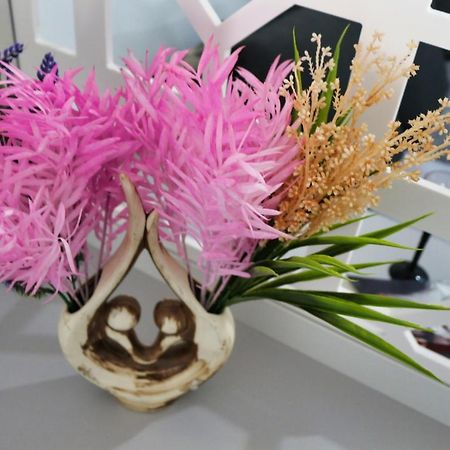 Cozy Flowers Studio - Fast Wi-Fi & Washer-Dryer Μπρασόβ Εξωτερικό φωτογραφία