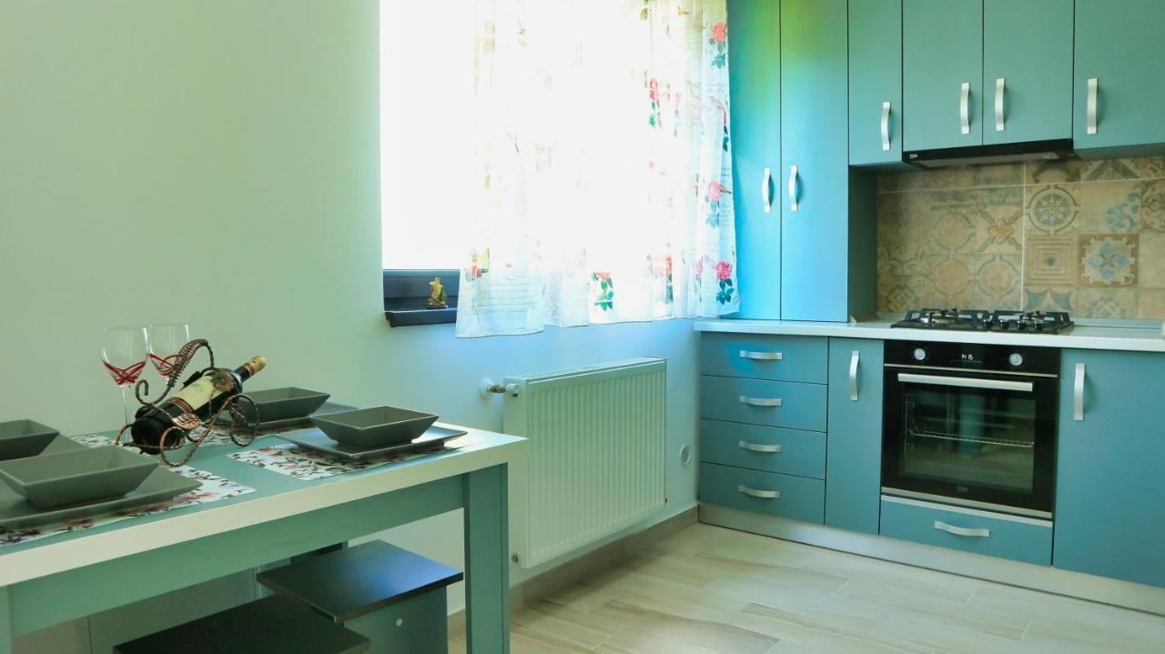 Cozy Flowers Studio - Fast Wi-Fi & Washer-Dryer Μπρασόβ Εξωτερικό φωτογραφία